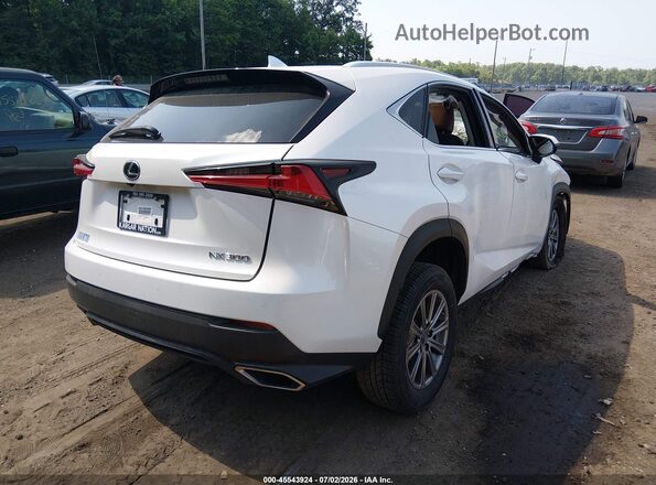 JTJDARBZ9L5011467 2020 LEXUS NX 300 White Հետևի աջ