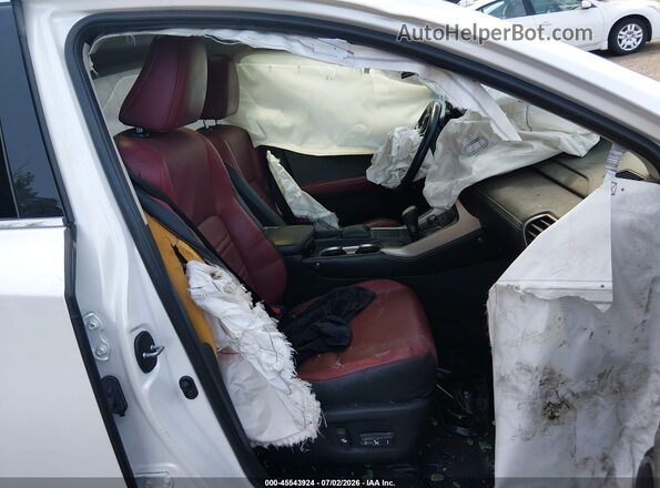 JTJDARBZ9L5011467 2020 LEXUS NX 300 White Սալոնի դիմացի տեսք