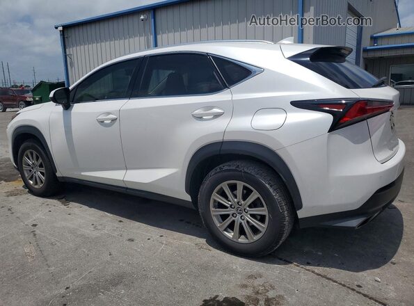 JTJDARDZ0L5008017 2020 LEXUS NX White Задня ліва чверть