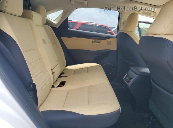 JTJDARDZ0L5008017 2020 LEXUS NX White Вид задньої частини салону