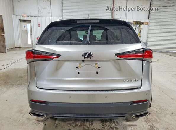 JTJDARDZ0M2253662 2021 LEXUS NX Silver Widok z tyłu