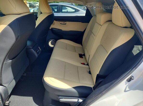 JTJDARDZ1L5015400 2020 LEXUS NX White Հետևի նստատեղերի տեսք