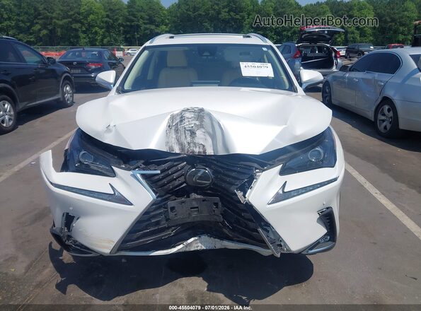 JTJDARDZ1L5015834 2020 LEXUS NX 300 White Widok wnętrza z tyłu