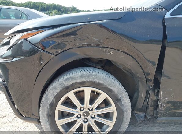 JTJDARDZ2L5002817 2020 LEXUS NX 300 Black Вид спереду