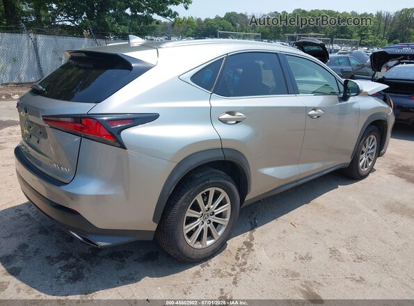 JTJDARDZ2L5002834 2020 LEXUS NX 300 Silver Задня права чверть