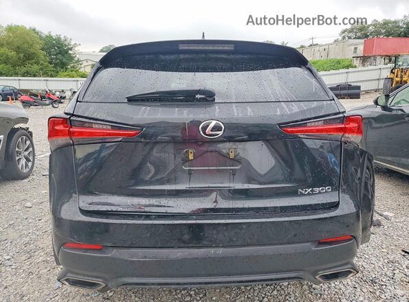 JTJDARDZ2M2253601 2021 LEXUS NX Черный Вид сзади