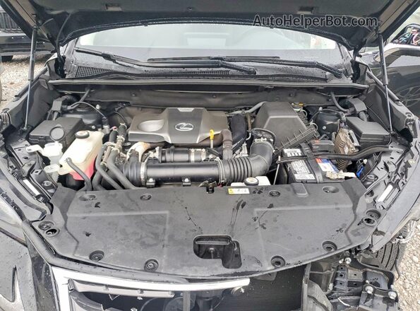 JTJDARDZ2M2253601 2021 LEXUS NX Черный Вид подкапотного пространства