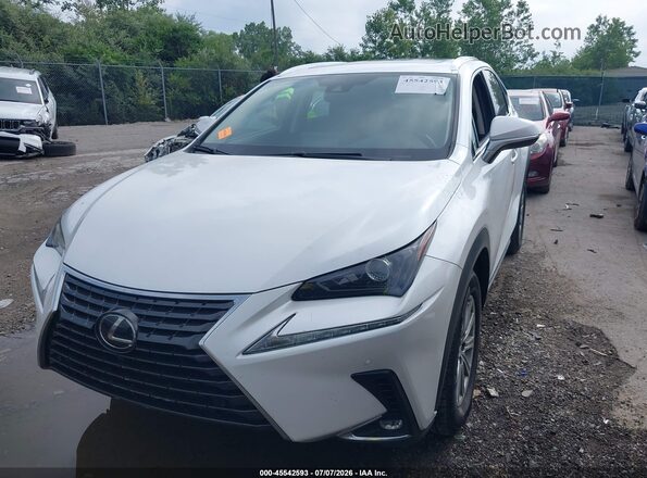 JTJDARDZ3L5007007 2020 LEXUS NX 300 White წინა ხედი