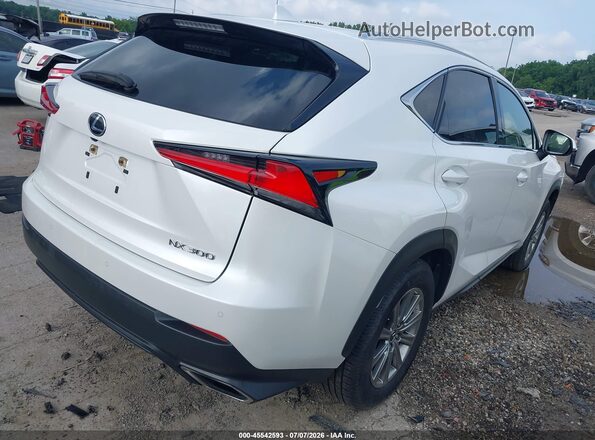 JTJDARDZ3L5007007 2020 LEXUS NX 300 White უკანა მარჯვენა