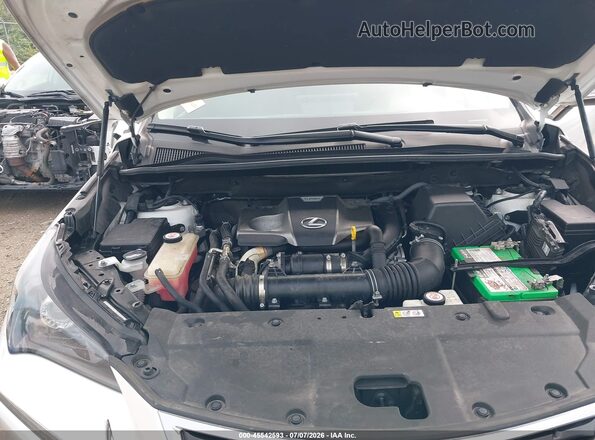 JTJDARDZ3L5007007 2020 LEXUS NX 300 White უკანა ხედი