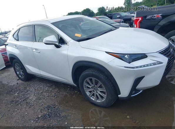JTJDARDZ3L5007007 2020 LEXUS NX 300 White უკანა სალონის ხედი