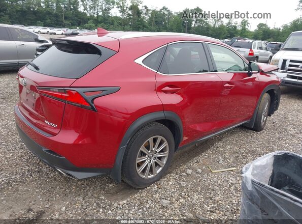 JTJDARDZ3M5031888 2021 LEXUS NX 300 Красный Задняя правая четверть