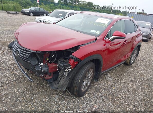 JTJDARDZ3M5031888 2021 LEXUS NX 300 Красный Передняя левая четверть