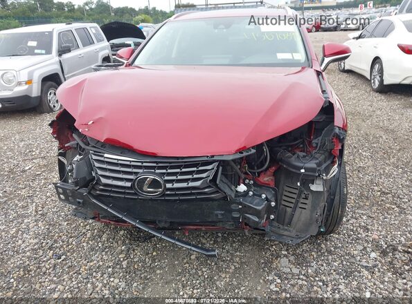 JTJDARDZ3M5031888 2021 LEXUS NX 300 Красный Вид спереди