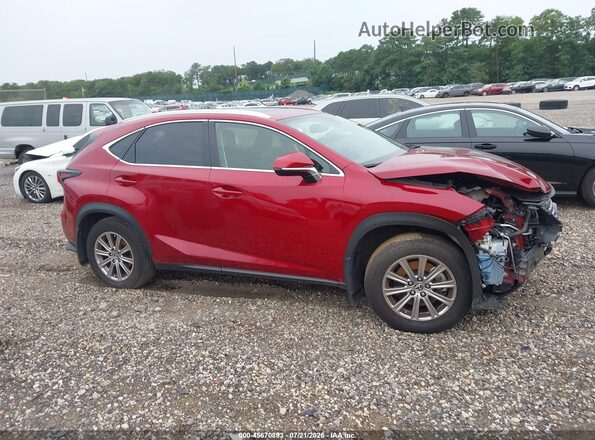 JTJDARDZ3M5031888 2021 LEXUS NX 300 Красный Вид щитка приборов