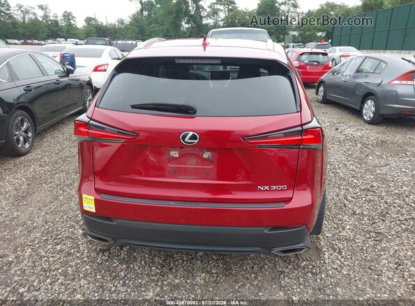 JTJDARDZ3M5031888 2021 LEXUS NX 300 Красный 