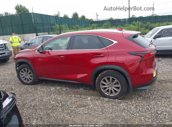 JTJDARDZ3M5031888 2021 LEXUS NX 300 Красный Вид задней части салона