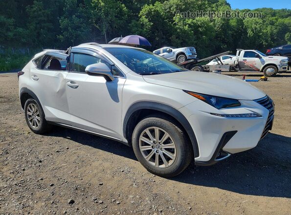 JTJDARDZ4M5023573 2021 LEXUS NX White წინა მარჯვენა