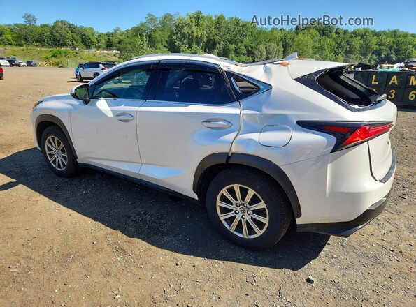 JTJDARDZ4M5023573 2021 LEXUS NX White უკანა მარცხენა