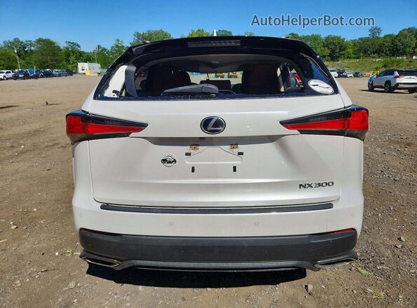 JTJDARDZ4M5023573 2021 LEXUS NX White უკანა ხედი