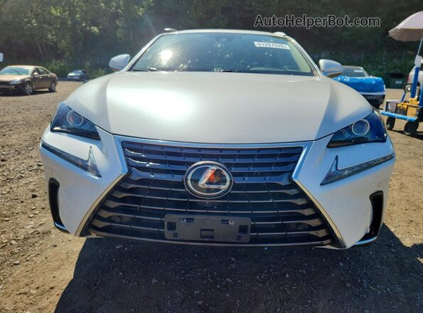 JTJDARDZ4M5023573 2021 LEXUS NX White წინა ხედი