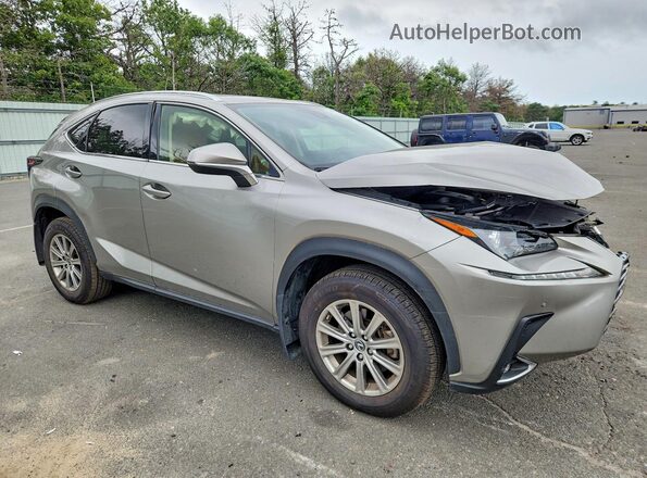JTJDARDZ6L5017403 2020 LEXUS NX Gray Przód prawy
