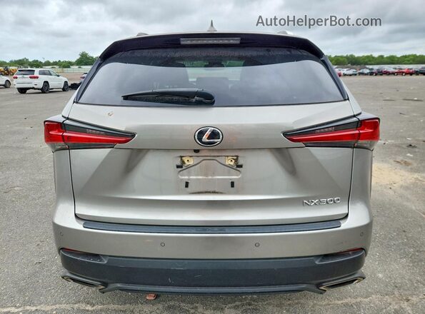 JTJDARDZ6L5017403 2020 LEXUS NX Gray Widok z tyłu