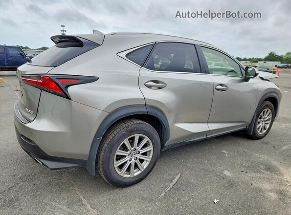 JTJDARDZ6L5017403 2020 LEXUS NX Gray Tył prawy