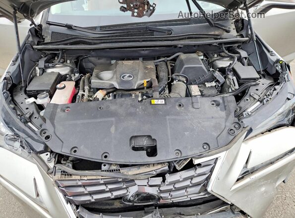 JTJDARDZ6L5017403 2020 LEXUS NX Gray Widok komory silnika