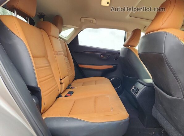 JTJDARDZ6L5017403 2020 LEXUS NX Gray Widok wnętrza z tyłu