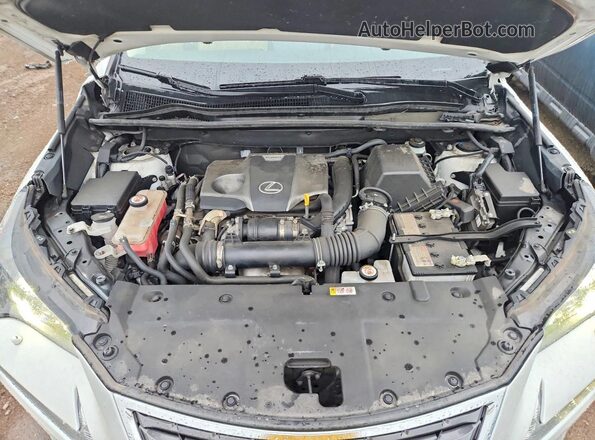 JTJDARDZ6M5031920 2021 LEXUS NX White Vista interior trasera