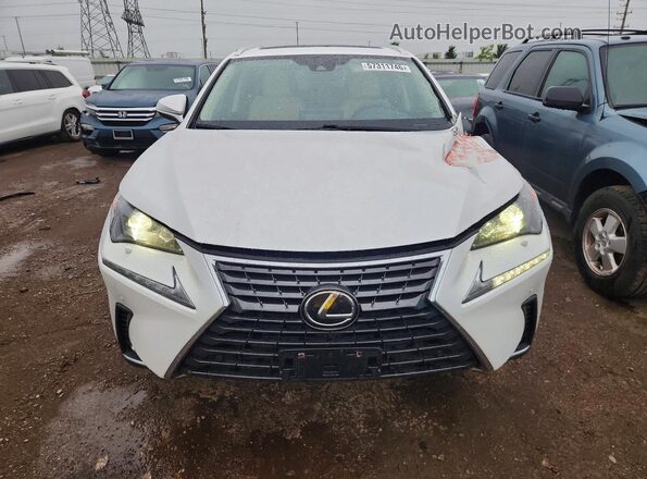 JTJDARDZ6M5031920 2021 LEXUS NX White Vista frontal