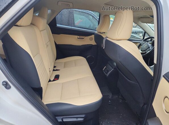 JTJDARDZ6M5031920 2021 LEXUS NX White Vista de los asientos traseros