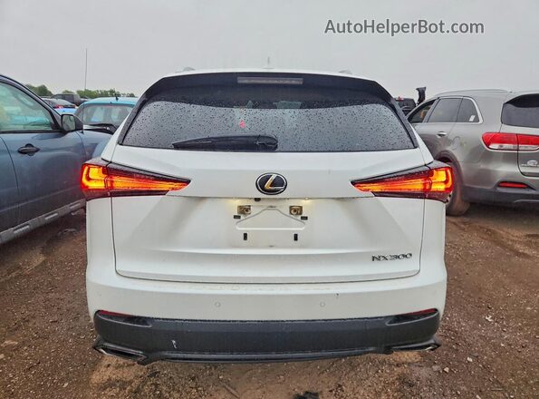 JTJDARDZ6M5031920 2021 LEXUS NX White Vista trasera