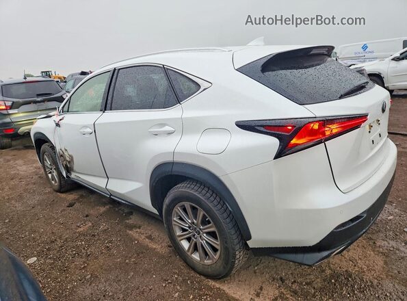 JTJDARDZ6M5031920 2021 LEXUS NX White Trasero izquierdo