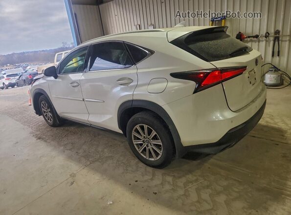 JTJDARDZ7M2261533 2021 LEXUS NX White უკანა მარცხენა