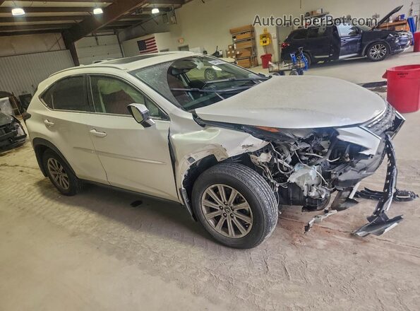 JTJDARDZ7M2261533 2021 LEXUS NX White წინა მარჯვენა