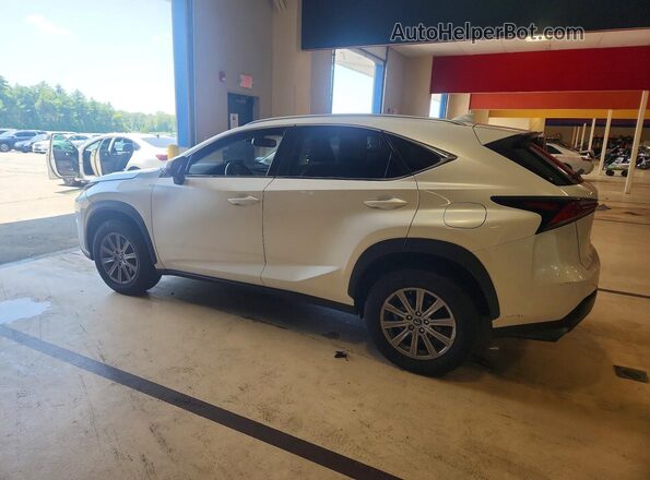 JTJDARDZ8M5021616 2021 LEXUS NX White უკანა მარცხენა