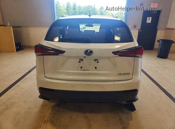 JTJDARDZ8M5021616 2021 LEXUS NX White უკანა ხედი