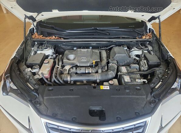JTJDARDZ8M5021616 2021 LEXUS NX White ძრავის განყოფილების ხედი