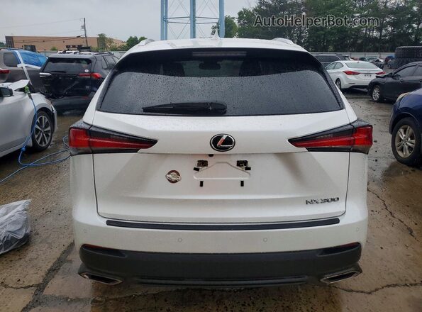 JTJDARDZ8M5022636 2021 LEXUS NX White Вид ззаду