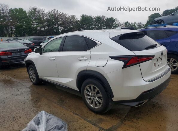 JTJDARDZ8M5022636 2021 LEXUS NX White Задня ліва чверть
