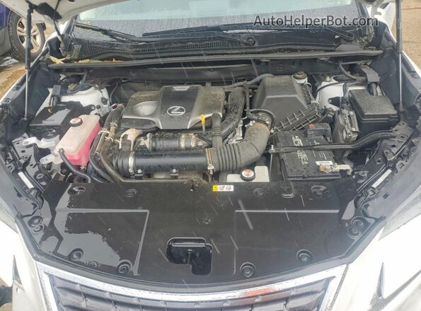 JTJDARDZ8M5022636 2021 LEXUS NX White Вид задньої частини салону