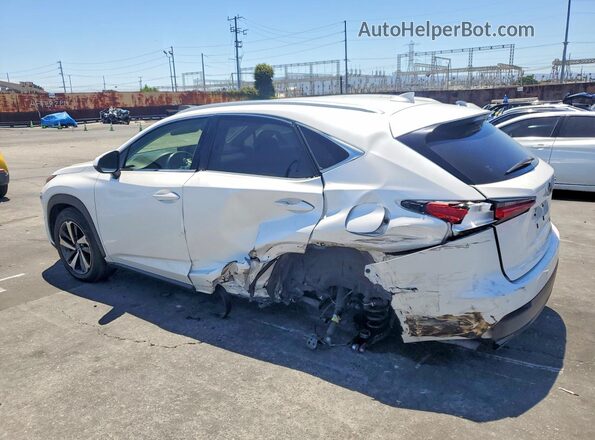 JTJGARBZ1M5030979 2021 LEXUS NX White Задня ліва чверть