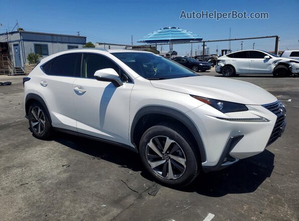 JTJGARBZ1M5030979 2021 LEXUS NX White Передня права чверть