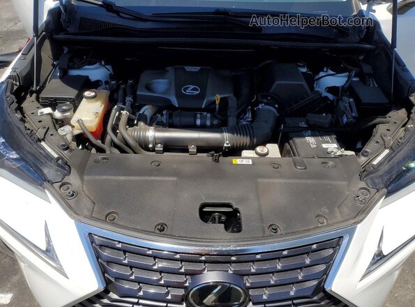 JTJGARBZ1M5030979 2021 LEXUS NX White Вид задньої частини салону