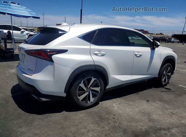 JTJGARBZ1M5030979 2021 LEXUS NX White Задня права чверть