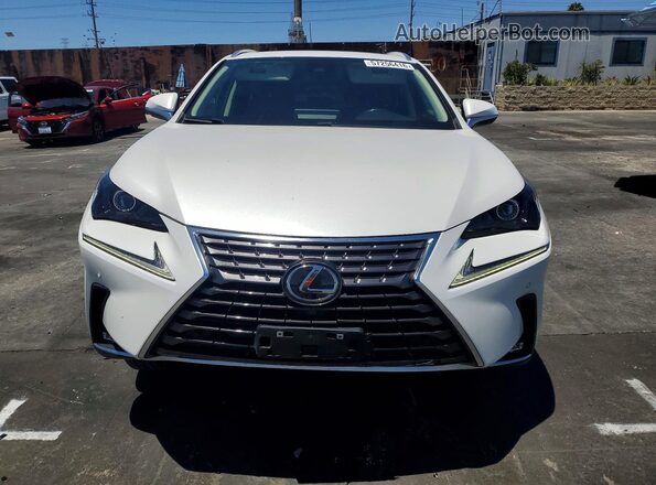 JTJGARBZ1M5030979 2021 LEXUS NX White Вид спереду