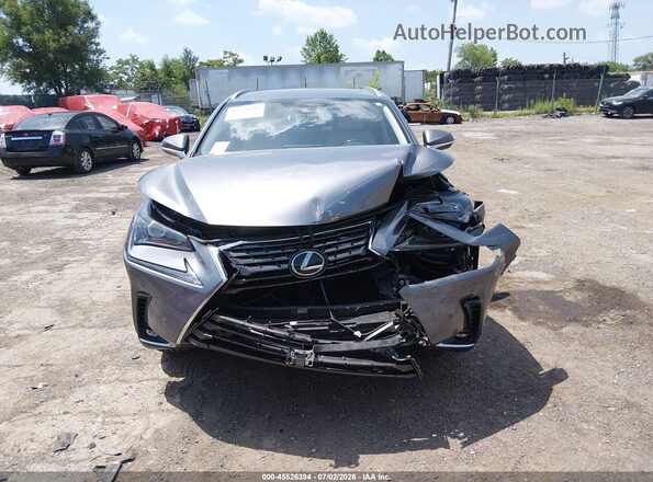 JTJGARBZ3L2174257 2020 LEXUS NX 300 Brown Instrument cluster view