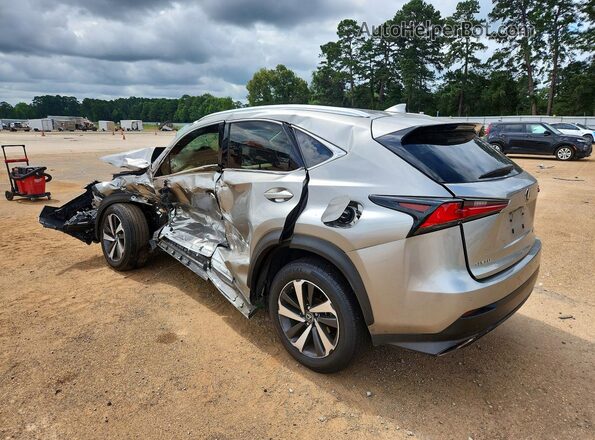 JTJGARBZ6L2162877 2020 LEXUS NX Silver Задня ліва чверть